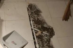 察哈尔右翼后卫生间漏水检测电话